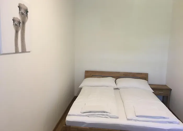 Diofa 招待所 4*